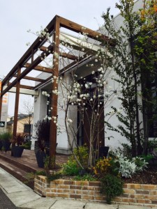 ジューンベリー