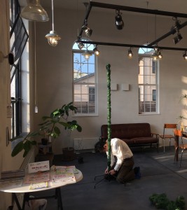 クリスマスツリー組立て