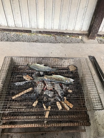 58619717_1590790564408604_1830818419390283776_n