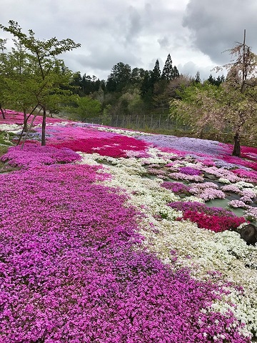 58629821_1590790457741948_277812112636510208_n