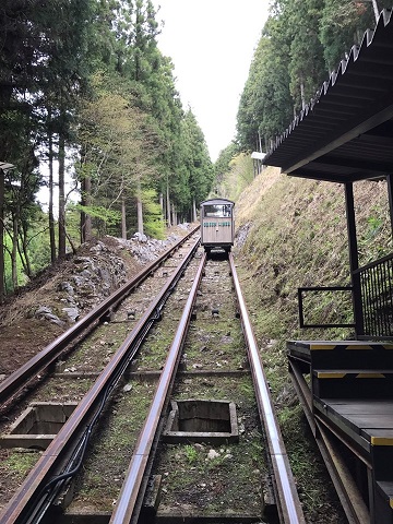 58779132_1590790501075277_3688631683193503744_n