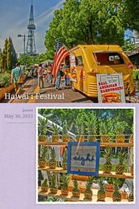 ハワイフェスティバル3