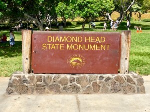 ﾀﾞｲﾔﾓﾝﾄﾞﾍｯﾄﾞ1