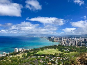 ﾀﾞｲﾔﾓﾝﾄﾞﾍｯﾄﾞ5