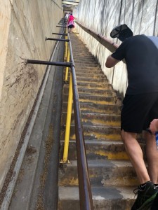 ﾀﾞｲﾔﾓﾝﾄﾞﾍｯﾄﾞ4