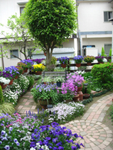 フラワーガーデン01