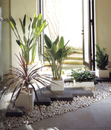 インドアグリーン02