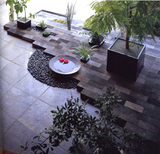 インドアグリーン04