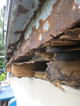 シロアリ被害02