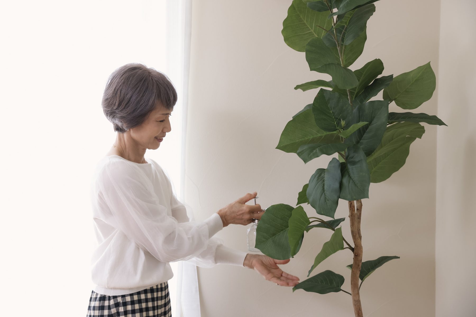 朝の光が入る部屋で、観葉植物に水をやる様子