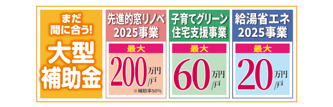 20251018midori-ph05.jpg