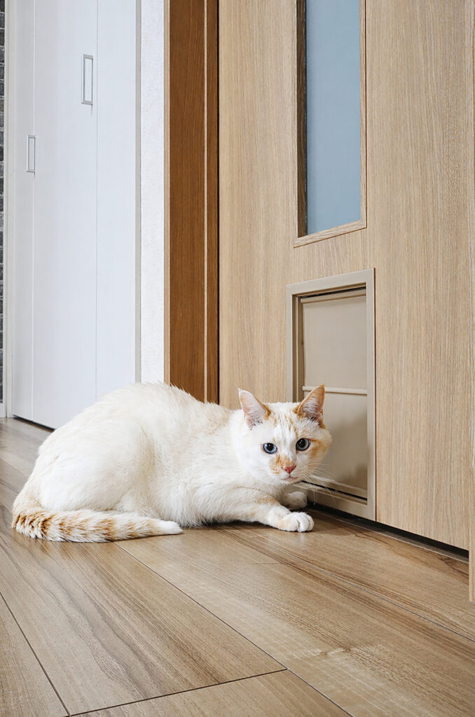 和室を取り込み叶えた、愛猫と心地よく暮らす広々LDK　リビング